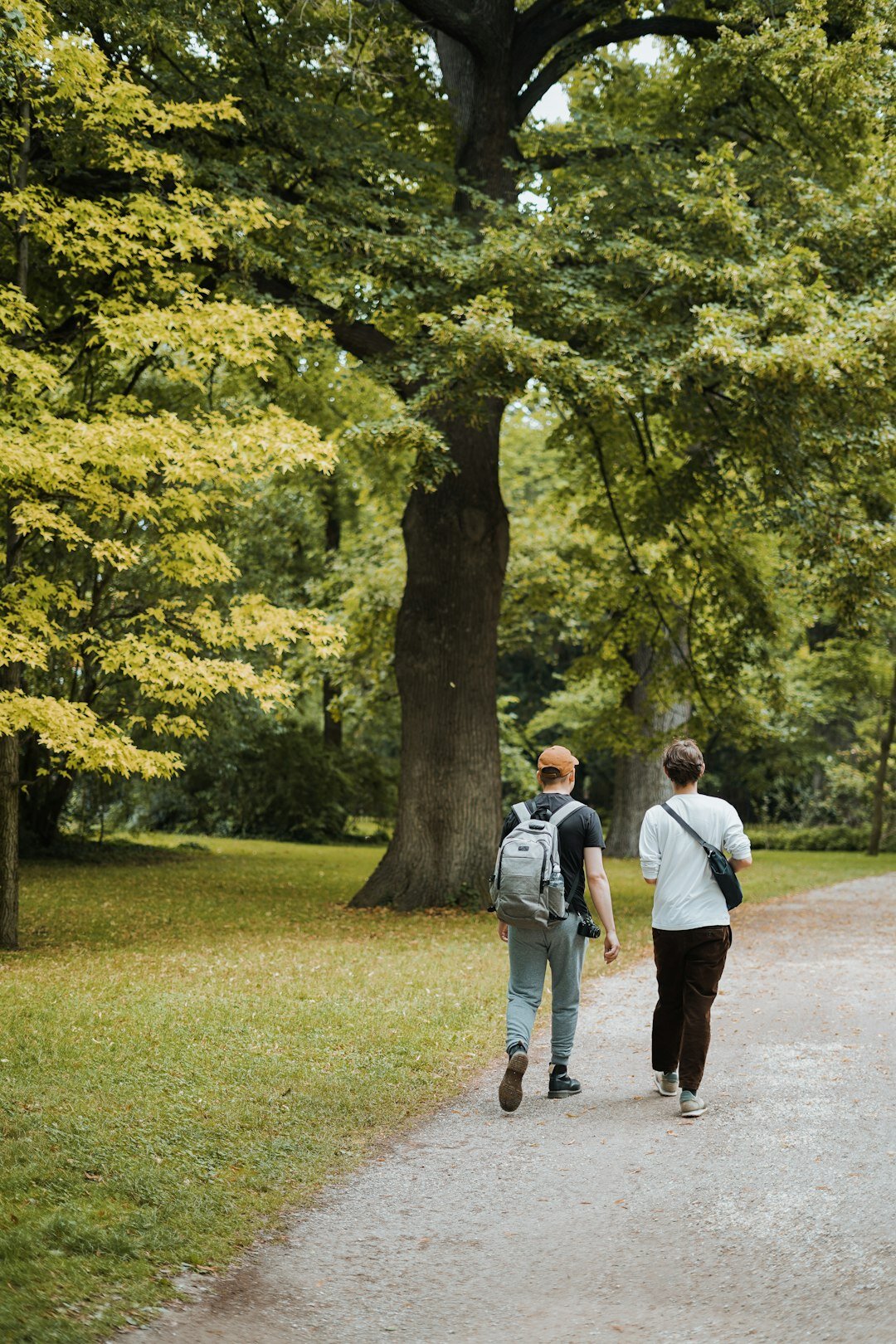 seniors walking in park